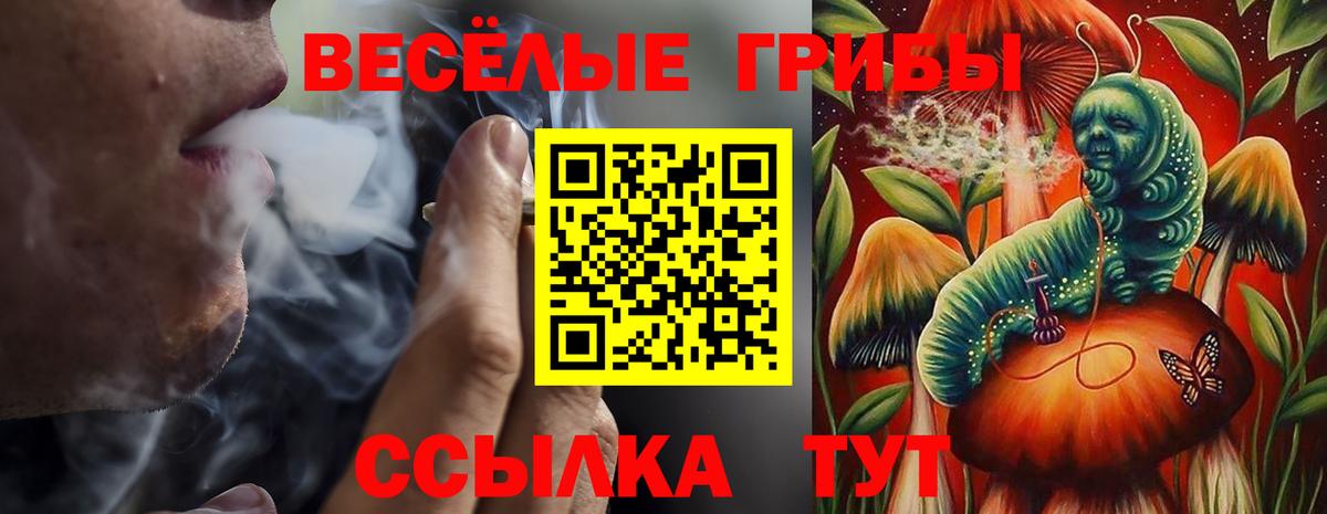 Псилоцибиновые грибы прущие грибы  Галлюциногенные грибы Psilocybine cubensis  Моздок  Вход с VPN 